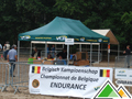 Tente de fête pliante vert foncé 3x6 pour VLP
